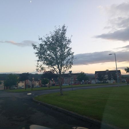 Sycamore Place Carrick-on-Suir Esterno foto