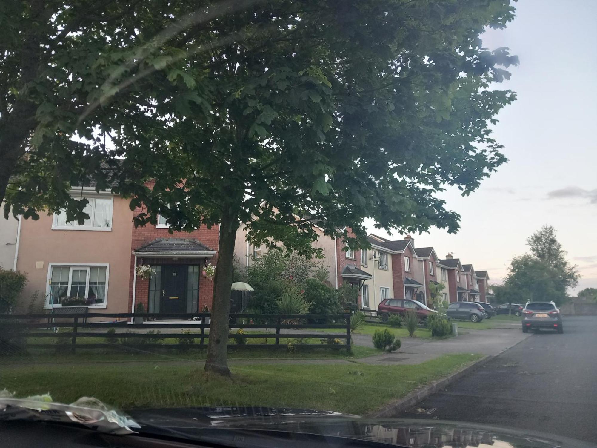 Sycamore Place Carrick-on-Suir Esterno foto